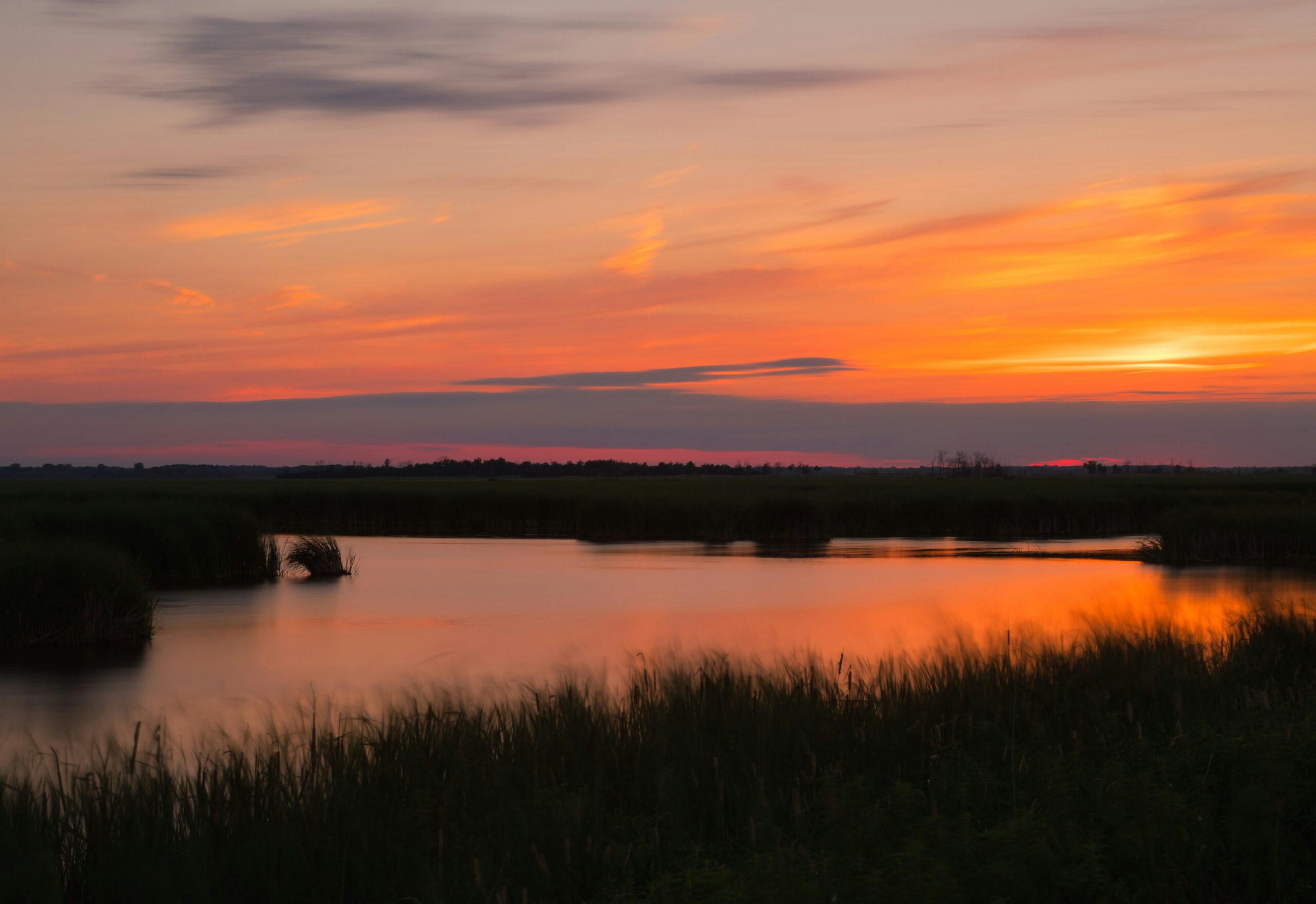 A Summer sunset at Horicon Marsh in Wisconsin.